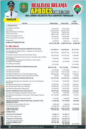 Realisasi APBDes Tahun Anggaran 2025